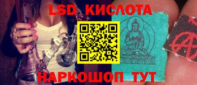 СК Кимры