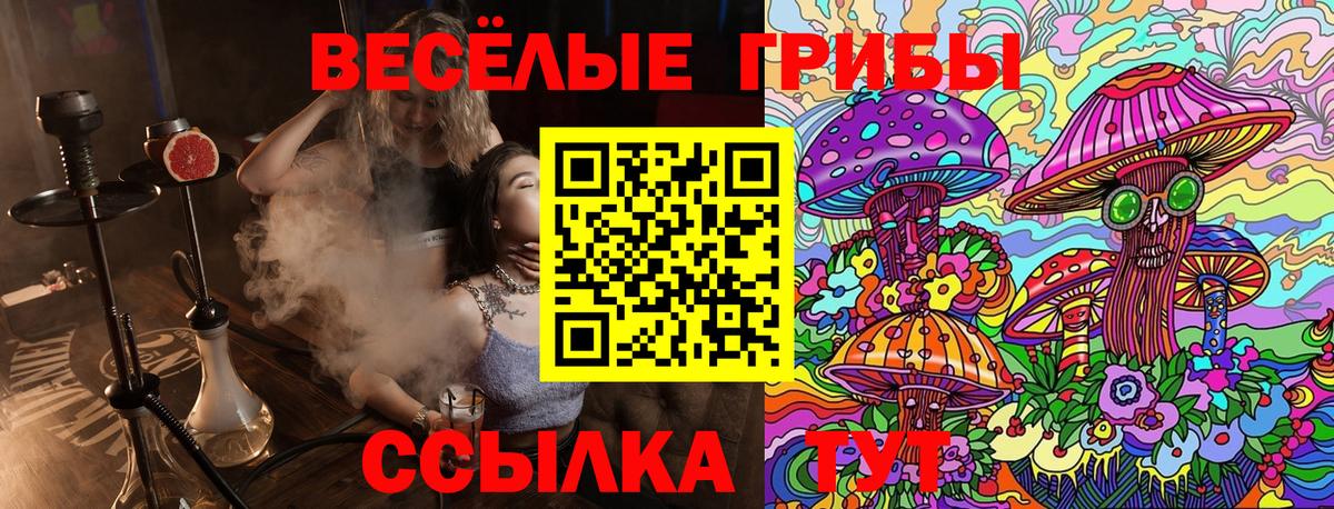 Галлюциногенные грибы мицелий  где купить наркоту  Псилоцибиновые грибы Psilocybe  Куйбышев  Вход с VPN 
