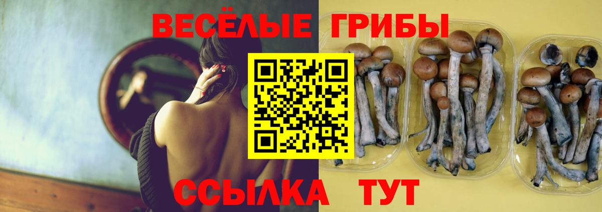 Галлюциногенные грибы Cubensis Куйбышев